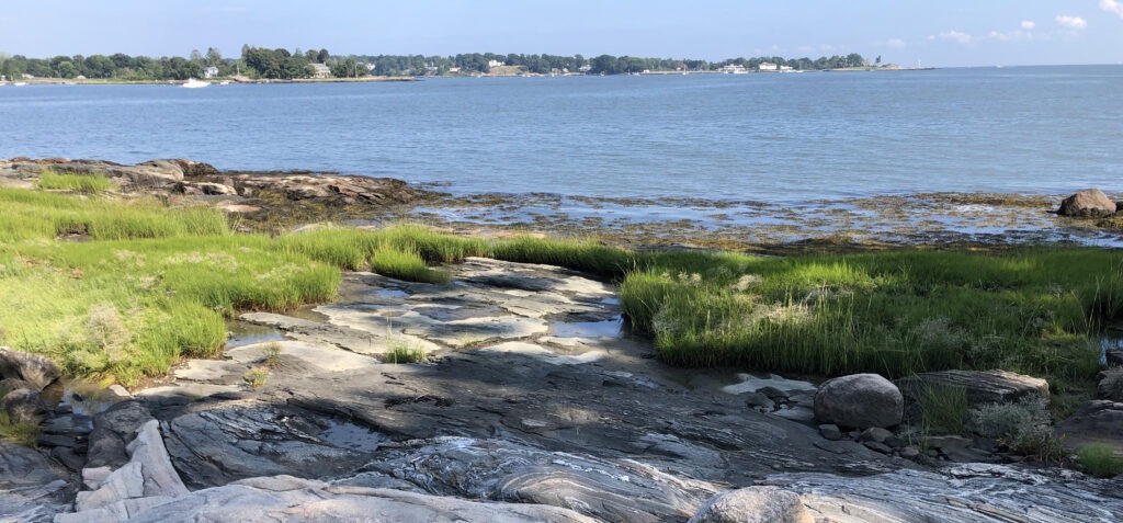 Blue lake with green grass and rocks opposite